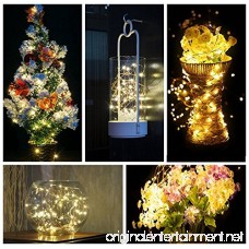 ANJAYLIA LED Fairy String Lights 10Ft/3M 30leds Firefly String Lights Garden Home Party Wedding Festival Decorations Crafting Battery Operated Lights(Warm White) - B01EWBC55A