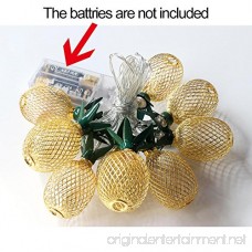 Aytai Pineapple Fairy String Lights Gold Metal Mesh 10 LED Battery Operated String Lights for Hawaiian Luau Birthday Party Christmas Wedding Indoor Outdoor Party Decoration (Warm White) - B07BXF35SW