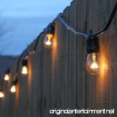 Brightech Ambience Pro Waterproof Outdoor String Lights- Patio Lighting: Heavy Duty Commercial Grade Weatherproof 48Ft Vintage Cafe Edison Bulbs- Bistro Strand for Garden Porch Yard Decking- Black - B074KMGNS7