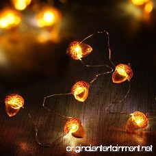 CPPSLEE Decorative Lights Acorn Lights String 10 ft Copper Wire 40 LEDs New Battery-powered for Ice Age Camping Wedding Birthday Parties Bedroom Decorations with Dimmable Remote & Timer - B0775MFDCX