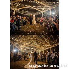 Dailyart Globe string lights LED Starry Light Fairy Light for Wedding Xmas Party (Warm White Battery-powered 13feet/4meters) - B077X83XSZ