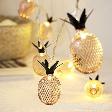 Fellibay Pineapple String Lights 6.6ft 20 LED Indoor Fairy String Lights for Bedroom Christmas Home Wedding Party Birthday Decoration(No Battery) - B077P6YVF3