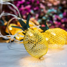 GIGALUMI Pineapple String Lights 10ft 10 LED Fairy String Lights Battery Operated for Christmas Home Wedding Party Bedroom Birthday Decoration (Warm White) … - B074T9QM8X
