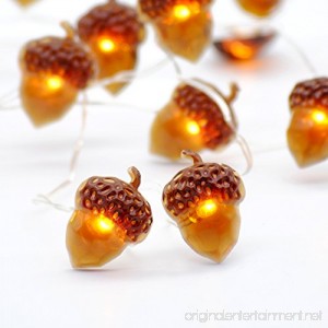 Impress Life Decorative Lights Acorn Lights String 10 ft Copper Wire 40 LEDs New Battery-powered for Ice Age Camping Wedding Birthday Parties Bedroom Decorations with Dimmable Remote & Timer - B0753BVQQH