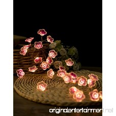 KAKANA Baby shower decorations El wire Spring Flower Pinky Sakura 10ft Copper Wire LED String Lights Warm White 30leds for Parties DIY Events Bedroom Indoor Outdoor Cover Decoration - B07C4RHJQP
