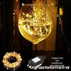 LE 100 LED 33ft Copper Wire String Lights Warm White Starry Fairy String Lights Waterproof Firefly Lights Decoration Light for Home Party Valentine's Day Wedding UL Power Adaptor Included - B0196H75KA
