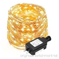 LE 100 LED 33ft Copper Wire String Lights  Warm White Starry Fairy String Lights  Waterproof Firefly Lights Decoration Light for Home Party Valentine's Day Wedding  UL Power Adaptor Included - B0196H75KA
