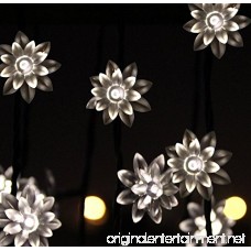 LED String Lights 4M/13feet 40 LED Lotus Flower for Chrismas Party Wedding Indoor Garden Décor (Warm white) - B00L25HTXI