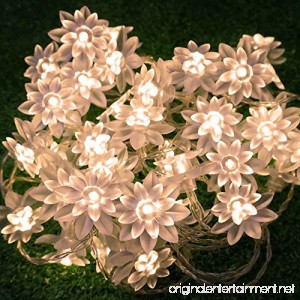 LED String Lights 4M/13feet 40 LED Lotus Flower for Chrismas Party Wedding Indoor Garden Décor (Warm white) - B00L25HTXI