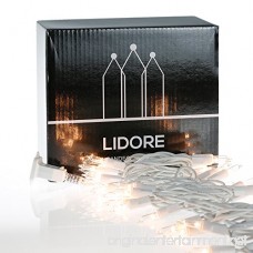 LIDORE 100 Counts Super Bright Clear Mini Christmas tree Lights. White Wire Best Gift for Decoration. End to End Connection. Set of 100 - B00MHOBWYK