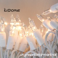 LIDORE 100 Counts Super Bright Clear Mini Christmas tree Lights. White Wire Best Gift for Decoration. End to End Connection. Set of 100 - B00MHOBWYK