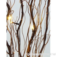 Lightshare Upgraded 36Inch 16LED Natural Willow Twig Lighted Branch for Home Decoration USB Plug-in and Battery Powered - B00KAOZG50