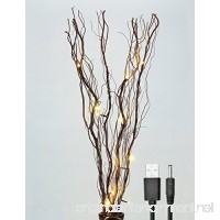 Lightshare Upgraded 36Inch 16LED Natural Willow Twig Lighted Branch for Home Decoration  USB Plug-in and Battery Powered - B00KAOZG50
