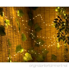 MineTom Starry String Led's Lights Warm 120 Individually Mounted Led's 20 ft White - B00MYN4QRE