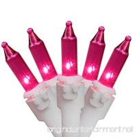 Northlight Set of 100 Pink Mini Christmas Lights 2.5” Spacing - White Wire - B073DJS4GS