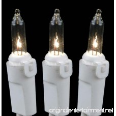 Novelty Lights 10 Light Clear Christmas Craft Mini Light Set Non-Connectable White Wire 4' Long - B004O9710U