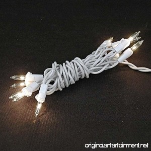 Novelty Lights 10 Light Clear Christmas Craft Mini Light Set Non-Connectable White Wire 4' Long - B004O9710U