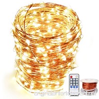 OrgMemory Copper LED Fairy Lights  (80 Ft  240 Leds  Warm White  UL Listed Power Adapter)  Vine Lamp  Garland Lights with Remote for Wedding  Xmas  Outdoor and Indoor Room Decor - B017LMG9CM