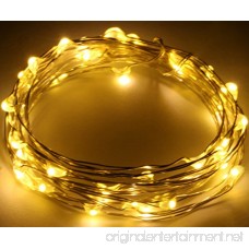 Pack of 10 LED Starry String Lights CR2032 Battery Operated 20 Micro Warm White Fairy LEDs on 3.5ft Silver Coated Copper Wire - B01FQT7NMW