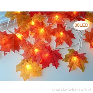 sexyrobot Fall Maple Leaves Garland Faux Orange Harvest Lights Decoration Battery Powered Lighted Garland with 30 Lights 9.8 Feet Orange Red Leaves - B076BNBG1S