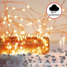 Twinkling LED Fairy String Lights - Fully Waterproof Indoor Outdoor 39ft 100 Bulb Standard Plug In + Battery Powered Warm White Copper Wire Decorative Lighting with Remote Control - B00JT3DDJO
