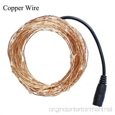 Valorite 33FT 100 LED Fairy String Lights Copper Wire by with: AC Adapter Remote Control Waterproof. Lighten up your Holiday or Christmas with these fun and versatile almost invisible fairy lights. - B075PN4JNG