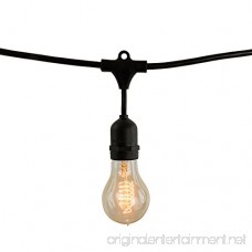 Bulbrite 810007 String10/E26/Black-NOSA19KT Indoor & Outdoor String Light w/Incandescent 25W Nostalgic Spiral A19 Bulbs 14' 10 Lights Medium/E26 Base - B01M2YG03J