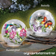 Lighted Crackle Glass Garden Globe Ball Outdoor Yard or Table Decoration Hummingbird - B07BWMTQYX