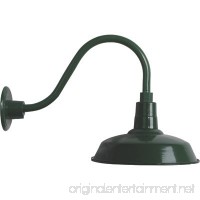 Strongway Multi-Mount Warehouse Barn Light - 12in. Dia.  Forest Green  100 Watts  Model# 23201096-GS - B073VPZ9DY