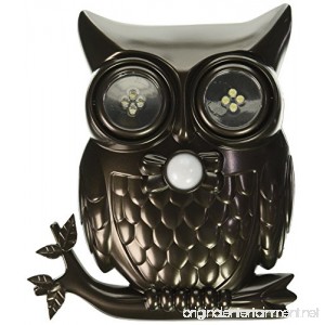 Decorative LED Motion Sensor Hooting Owl Light - B01F7KAU0W