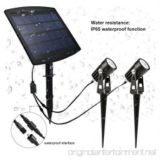 LEDGLE LED Solar Spotlight Outdoor Waterproof Light with Automatic On/Off for Driveway - B06XQSD8ZV