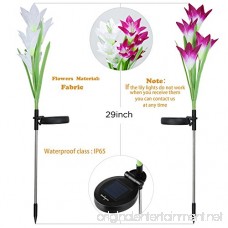 Denknova Solar Garden Lights Outdoor-2 Packs Solar Powered Garden Stake Lights with 8 Lily Flower Multi-color Changing LED Solar Stake Lights for Garden Patio Backyard (Purple and White) - B07B49DJ68