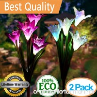 Solar Garden Stake Lights Outdoor 2 Pack Solar Powered Lights with 8 Lily Flower  Multi-Color Changing LED Solar Landscape Lighting Light for Decorating The Path  Yard  Lawn Patio (White and Purple) - B07F2HBYVJ