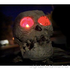 (2 Pack) SKULLar - Solar Powered Outdoor Halloween Skull Fright Lights - B00FN7VPSG