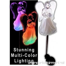 Acrylic Solar Angel Lights with A Frosted Skirt Solar Garden Stake - Box of 2 - B01BGXYD70
