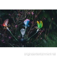 BlueStarXL Set of two Color Changing Butterflies/Hummingbirds Solar Lights Outdoor Lights Solar Lights Solar Butterflies Solar Hummingbirds Garden Solar Lights Garden Lights - B075L3K98C