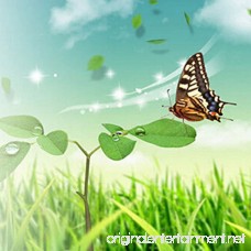 Braceus Vibration Solar Power Dancing Flying Fluttering Butterflies Garden Decor - B0792WQY8K