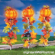 Collections Etc Fall Pumpkin And Leaves Solar Light Garden Stakes - Set Of 3 - B073T97GG4