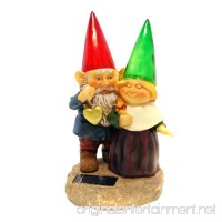 Gnomes holding hearts and flower with Solar Powered Light Garden Statue Yard Art Outdoor Patio - B003O9IG4G
