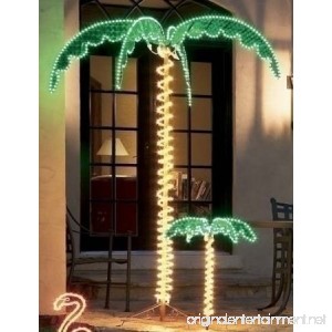 Outdoor Lighted Palm Tree - 7' Holographic Rope Light Decoration for Indoor and Outdoor Use - B00EBB9K5A