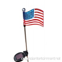 Patriotic U.S. Flag Solar Light - B005740NYC