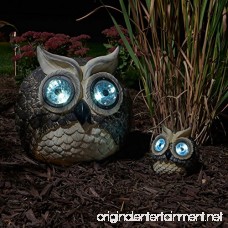 Smart Solar 3563WRM2 Solar Owl Accent Lights Set of 2 With Mother And Baby Powered By An Integral Solar Panel And Made Durable And Lightweight - B004JK71D6