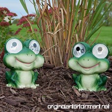 Smart Solar 3590WRM2 Garden Pal Frog Accent Light 2 Pack With Integral Solar Panel That Charges the Included Ni-MH Battery During the Day - B00C5W8GQ6