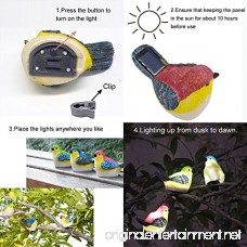 SOLAHOMF Solar Outdoor Decoration Lights- Bird Shaped Multi-colored Decoration Lights with Clip for Garden Patio Tree Decoration Landscape Lighting 3 Pack - B0716RVCY7