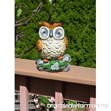 Solar Powered Owl Outdoor LED Garden Light - B01GIGU5NG