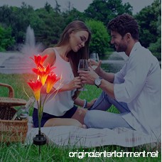 Sorbus Solar Light Flower Lily Stakes Outdoor LED Garden Flowers for Night Lighting Solar Path Walkway Lawn Garden Pond Patio Gravestones Special Occasions etc (Orange) - B07FQQDGLB