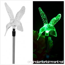 Stunning Acrylic Solar Hummingbird light stake (Box of 2) - B01CER9YS0