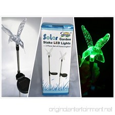 Stunning Acrylic Solar Hummingbird light stake (Box of 2) - B01CER9YS0