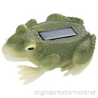 Trenton Gifts Solar Frog - B06Y47JZ8T