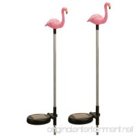 Tricod E2183 Solar Pink Flamingo Garden Stake Color Change LED Light  Medium  2-Pack - B00K18G5QE